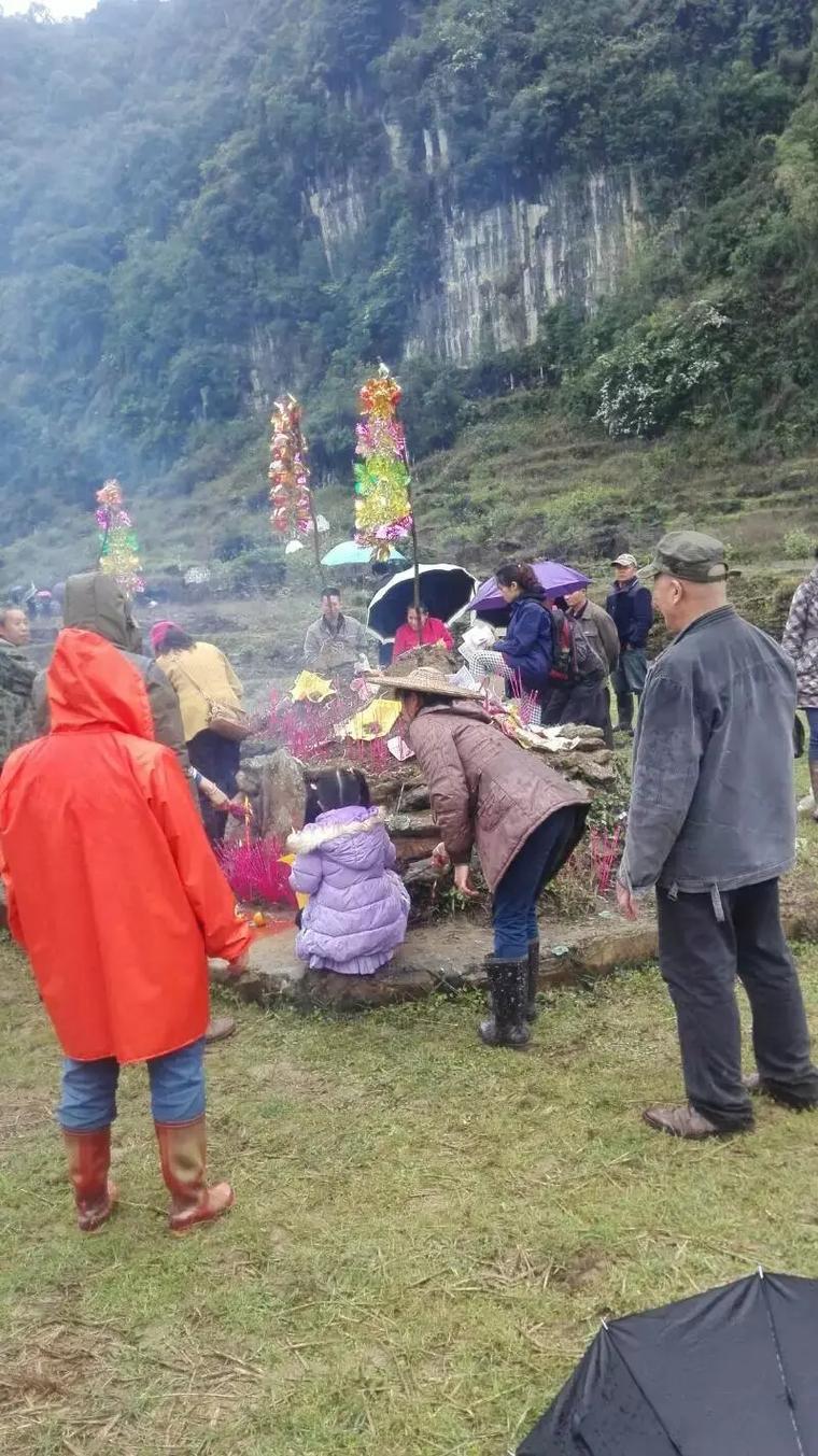 昨天4月5号，我到黄桥老家祭祖