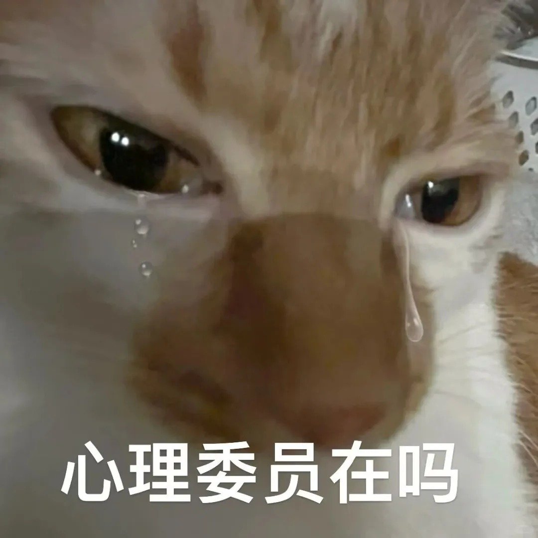 湖人vs太阳 湖人打的是个啥？！ 