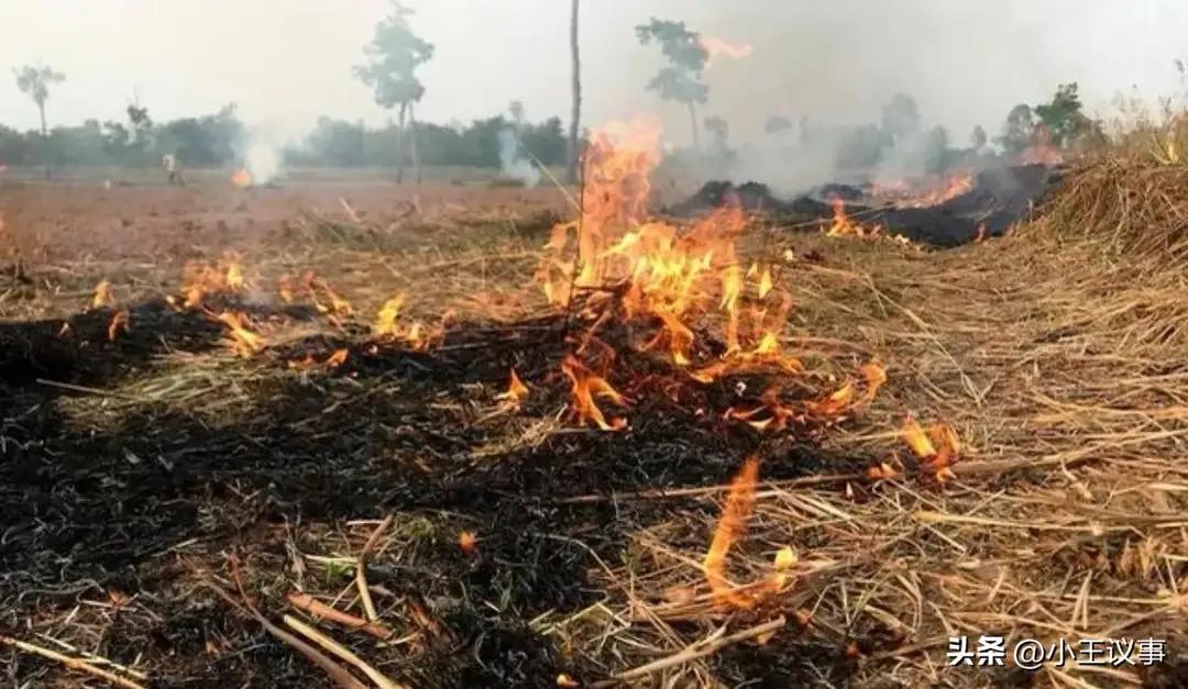 说得好，凡事不能只堵不疏。各地都不允许焚烧秸秆，而农村每年产出的这些秸秆又让农民