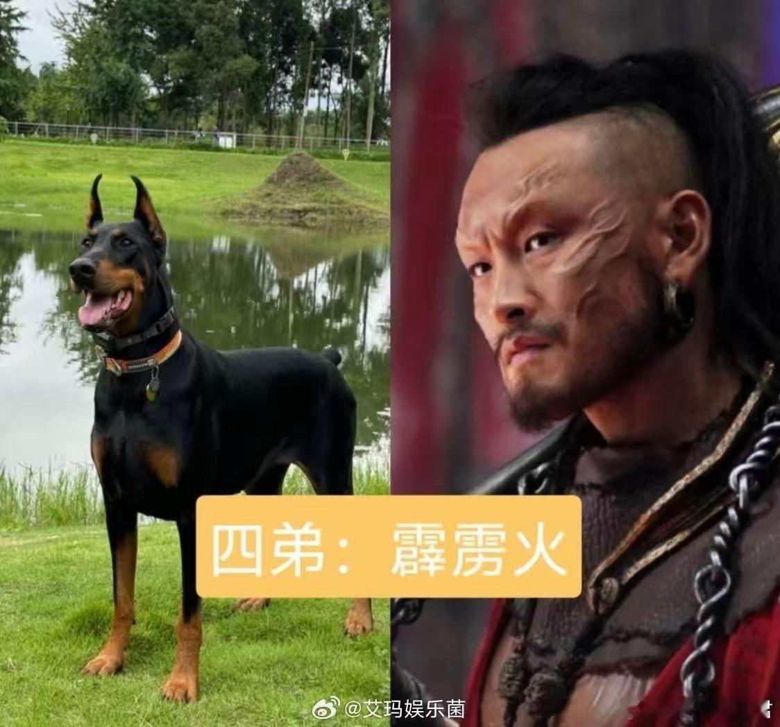诡秘这是你爱看的云中五虎代餐造浪吧国庆档 诡秘速来集合！《刺杀小说家2》云中五虎
