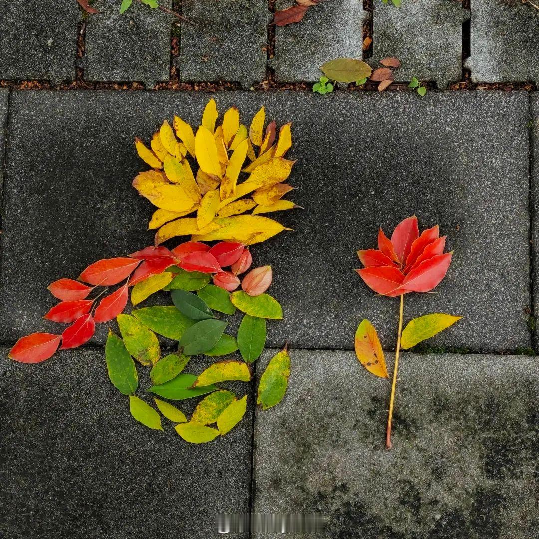 🎐🍁²⁰²⁴  ੈ✩‧💚“人生如同一场旅程有山穷水复的困顿亦有柳暗花明的惊