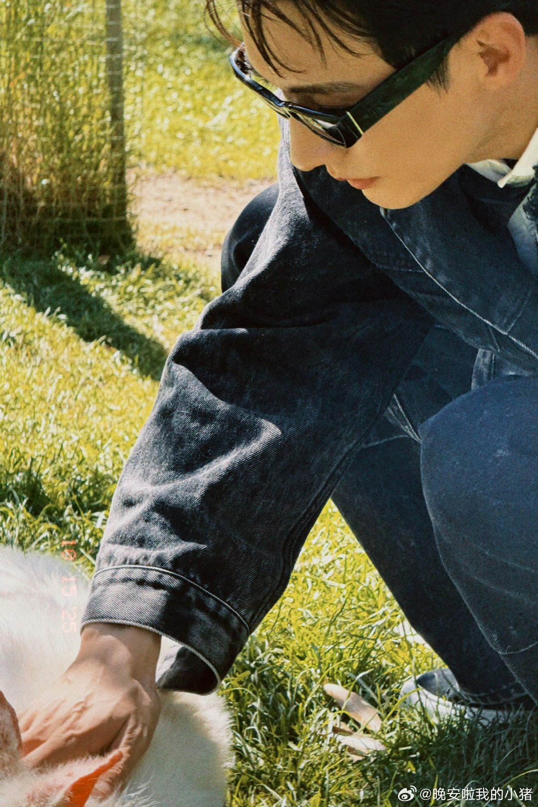 刘学义抱考拉，两个萌物🐨😘 ​​​