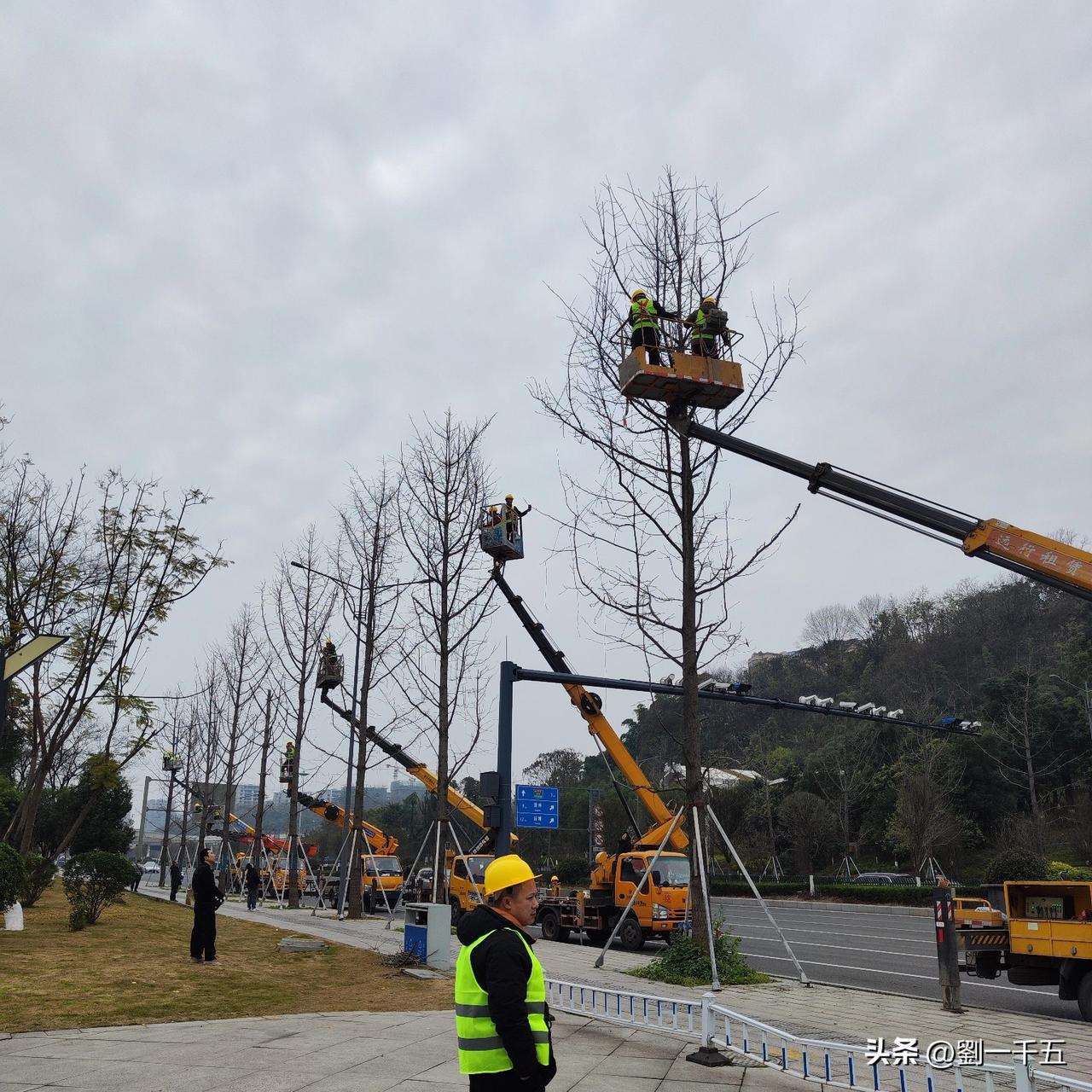 亲戚介绍亲戚，朋友介绍朋友，邻居介绍邻居，走熟门就进厂子了，至于如何给新工人，就