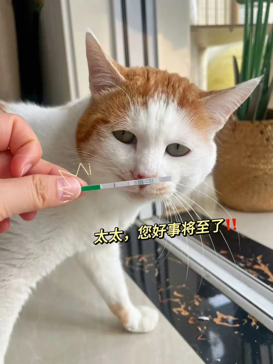 太太，恭喜您粑粑平安‼