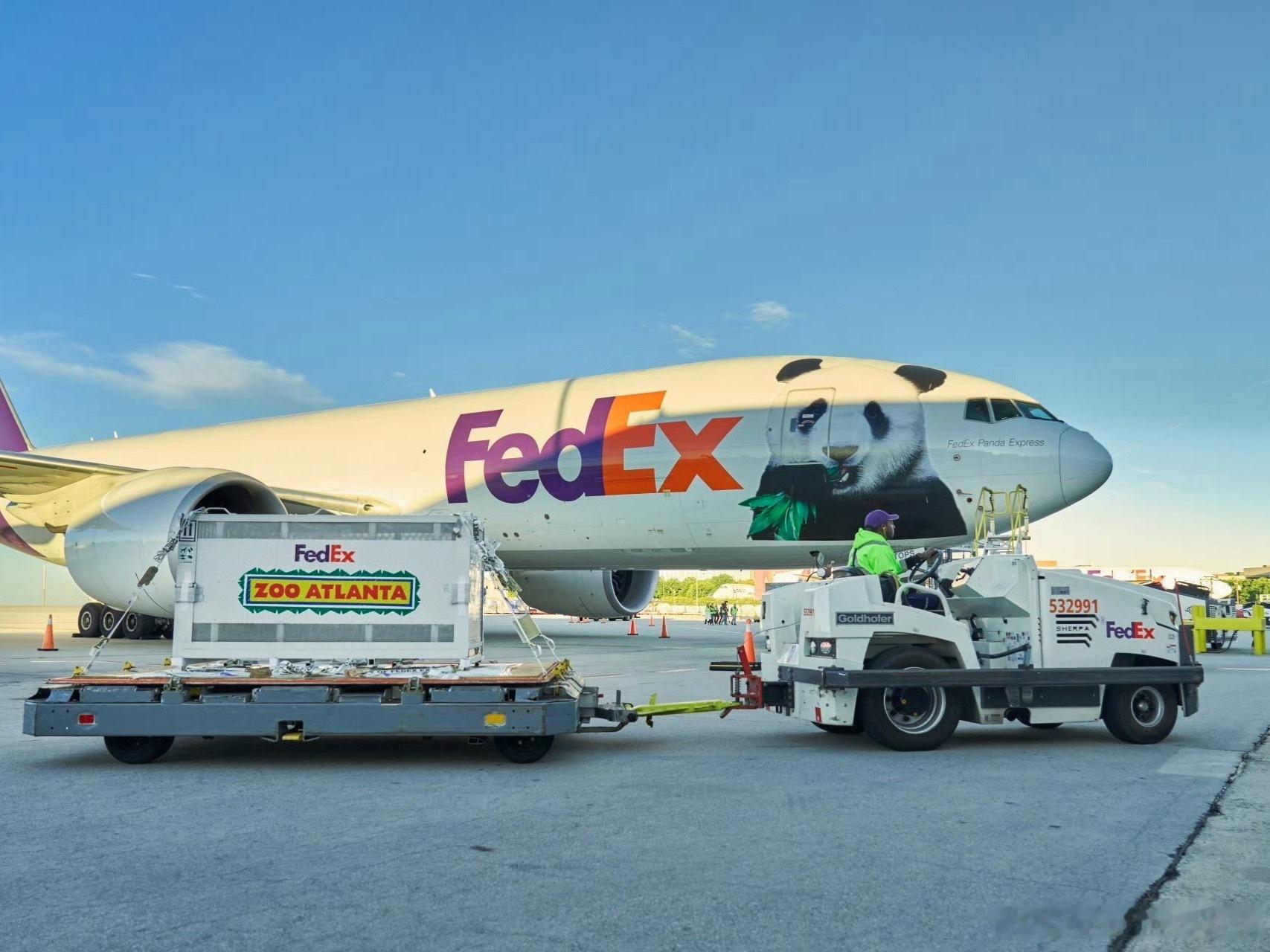 大熊猫“平平”和“福双”已 Fedex 专机顺利抵达亚特兰大。美国大熊猫佐治亚亚