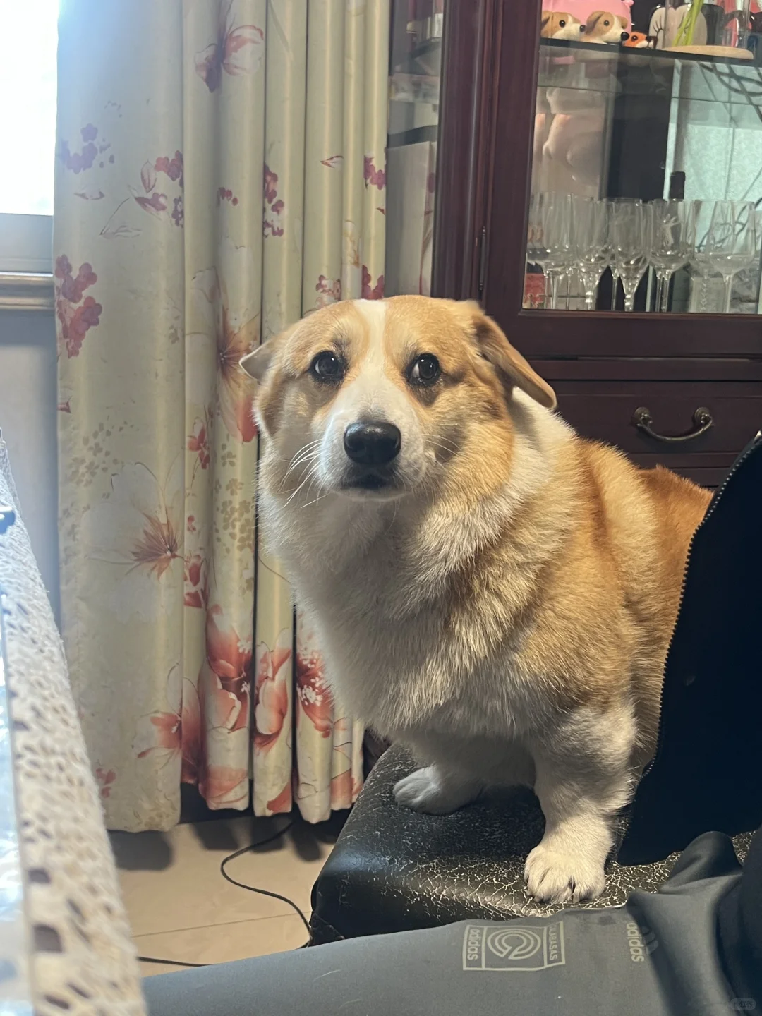 年夜饭我们也是要上桌吃的