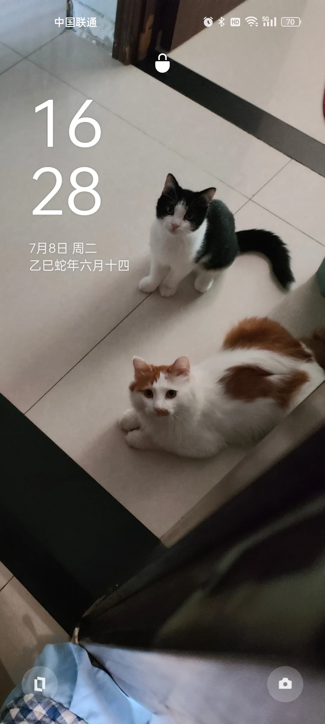 猫妈妈的手机屏保