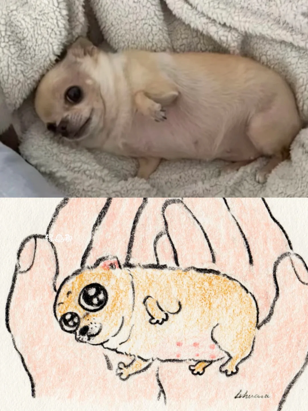 吉~