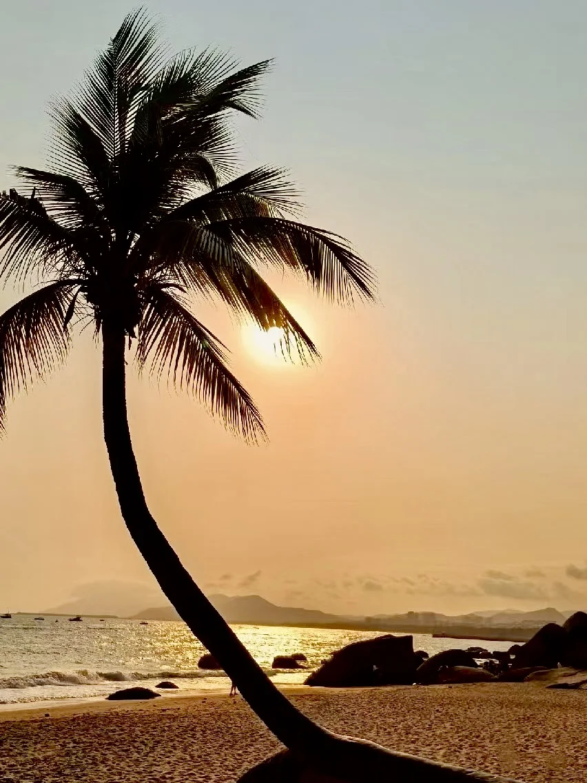 我宣布海南🌴加入人生计划！治愈率拉🈵