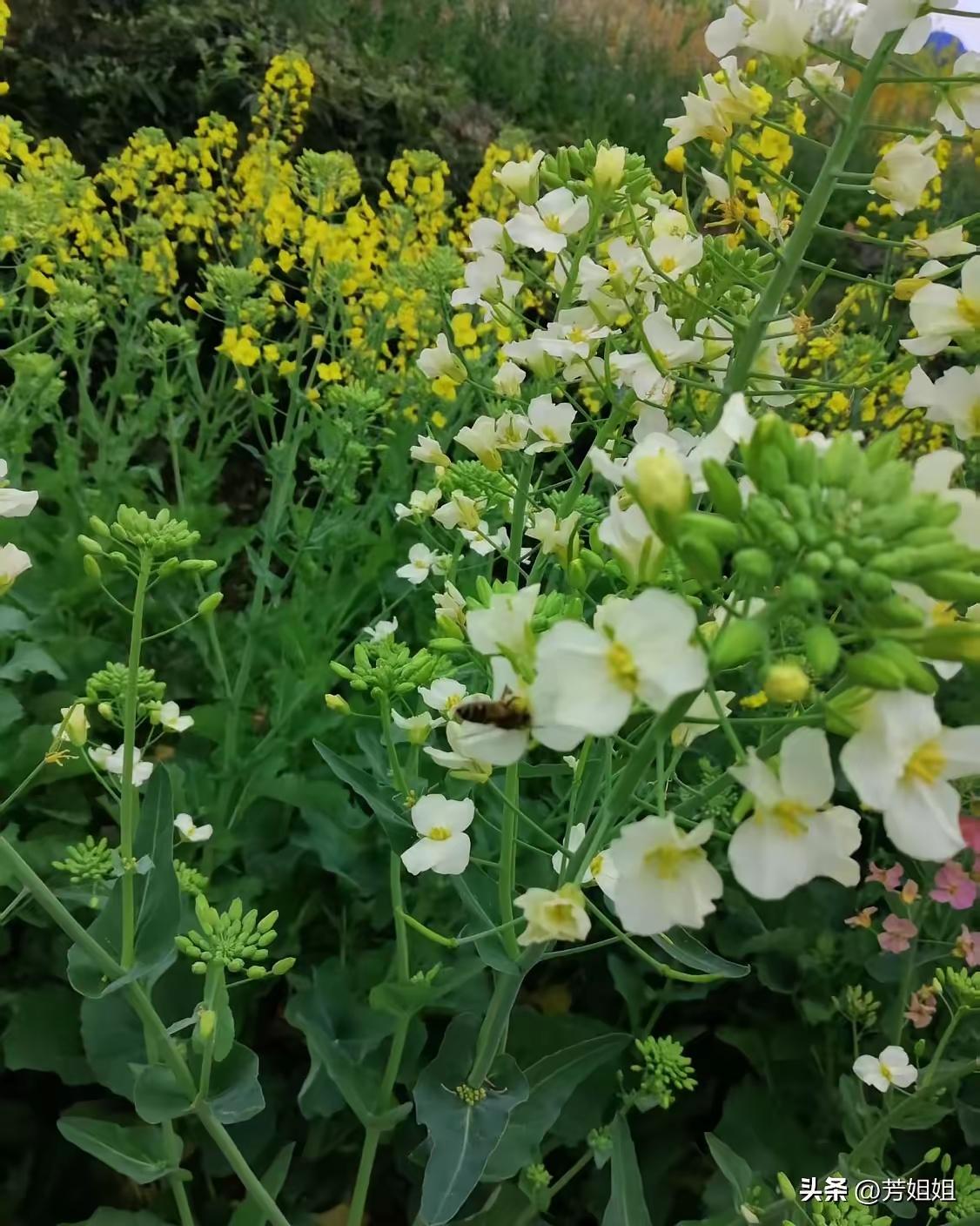 大家发现没有！有些女人整天待在家里，每天早上做早餐、打扫卫生，栽花种草，或者跳操