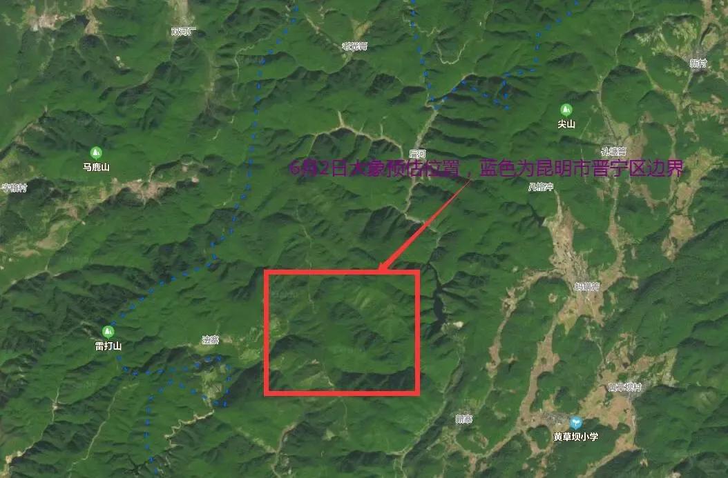 亚洲象你们一家老小跋山涉水徒步这么远是到昆明来探亲的吗？（圆通山动物园的表姑还是
