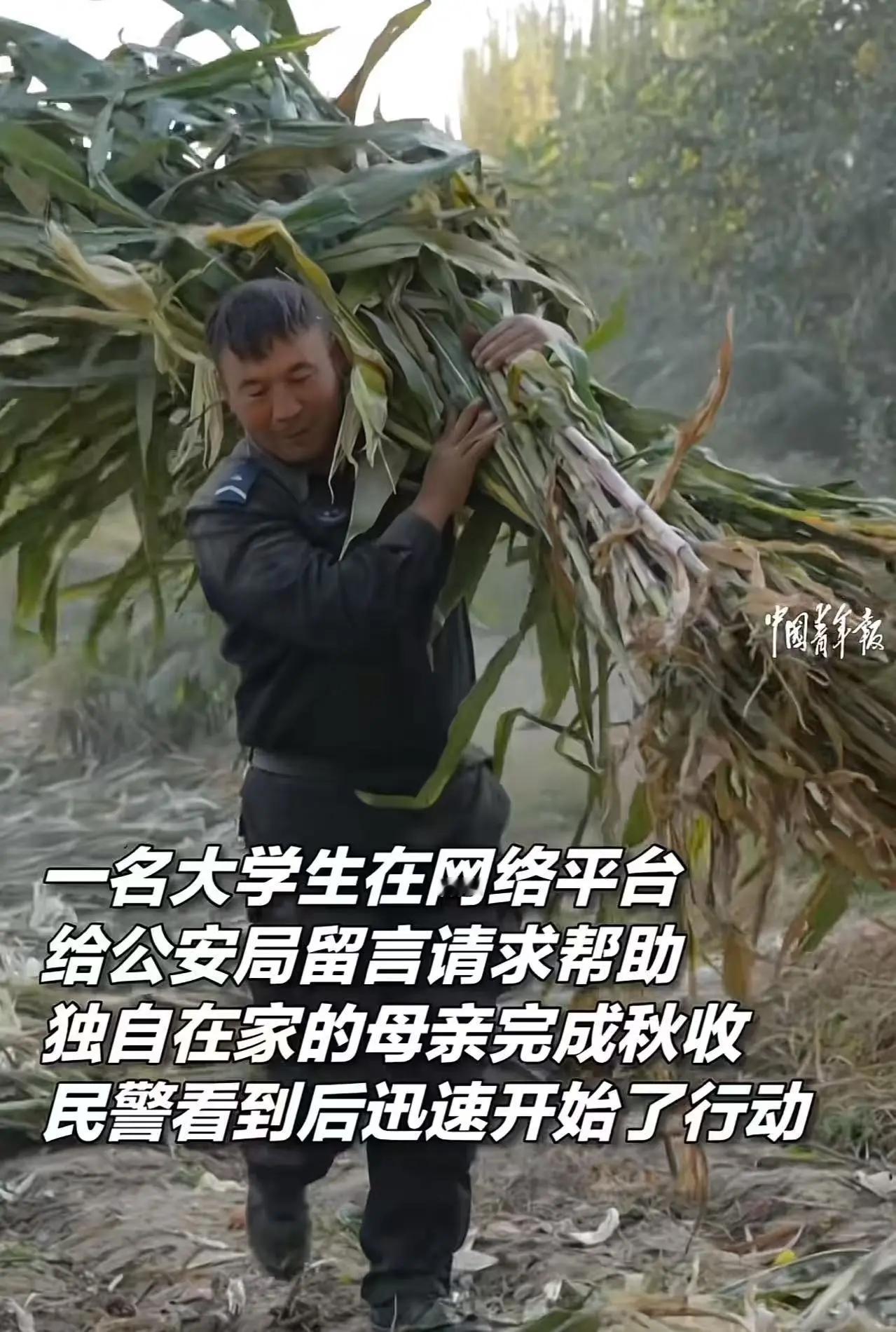 “这个派出所火到中国青年报！”大学生在外地上大学，担心母亲一人难以完成秋收，尝试