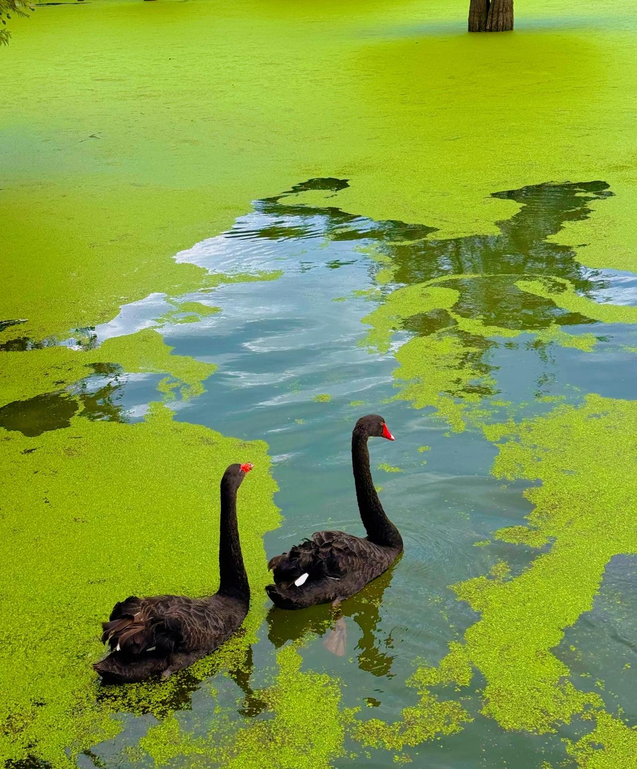 男人怕动情，女人怕动心，男人什么都不怕，就怕自己喜欢的女人：女人什么都怕，就是不