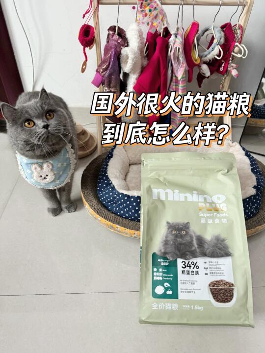 被外网吹爆的宝藏猫粮，我家猫爱惨了！ 家人们，养猫的都知道，给主子选猫...