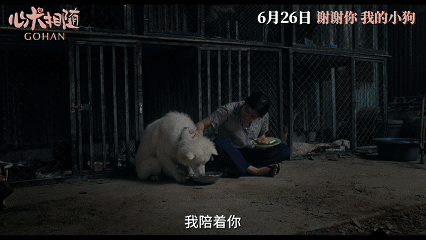 电影心犬相随定档姥姥的外孙团队新作心犬相随定档制作出爆款作品姥姥的外孙、天才枪手