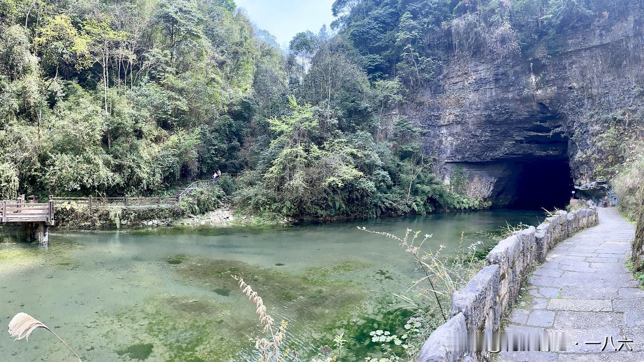 谁懂啊！贵州溶洞挖到熊猫“老祖宗”，10万年前的圆滚滚太会躲了
 
本来是冲着避