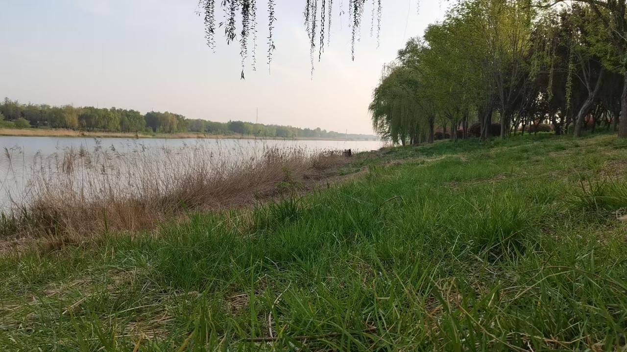 开砖击石就三下功夫，
三下没搞定，放弃就行了，
伤了骨头筋膜就没意思了，
三下也