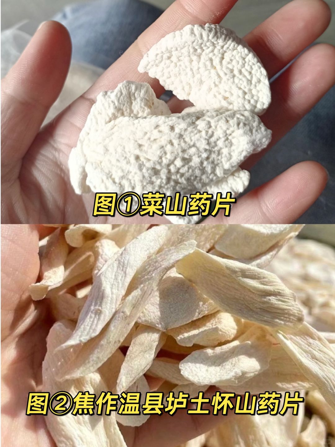 不是山药水没用，只是怀山药片你选错了！！