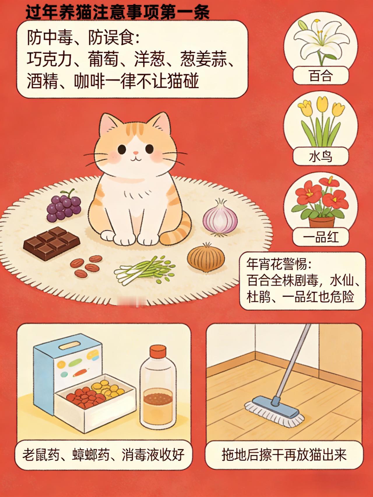 过年养猫的注意事项