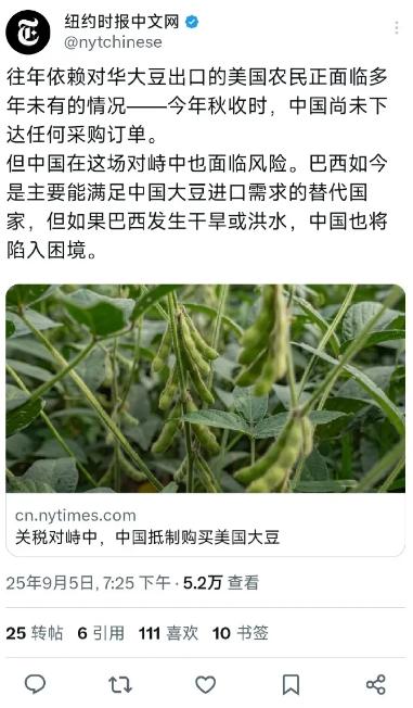中国不买美国的大豆，美国媒体居然变成好心人了！主动提示风险，提醒中国，你不能光买