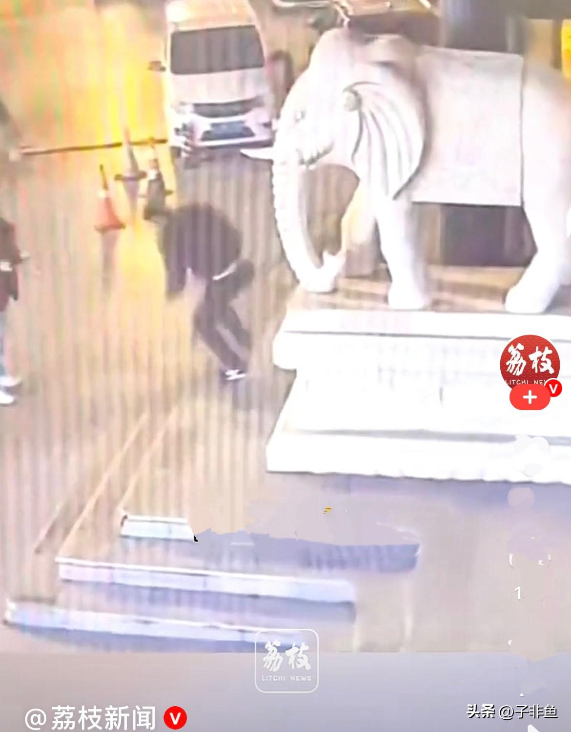 近日，河北沧州一小伙看到一单位门口有大象雕塑，他就去坐到石墩上和大象拍照，他是想