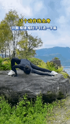 就这个动作能做到她这么标准的也不多吧
