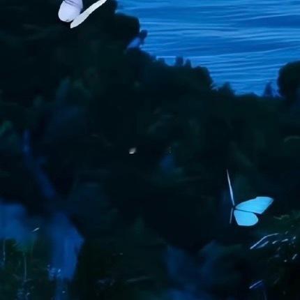 0000向海而飞，心自辽阔暮色漫过海面，澄澈的蓝铺满远方，一群白蝶越过层叠的林木