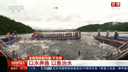 杭州发布|杭州再登央视！这条“黄金旅游线”途经7个5A级景区！等你来打卡！