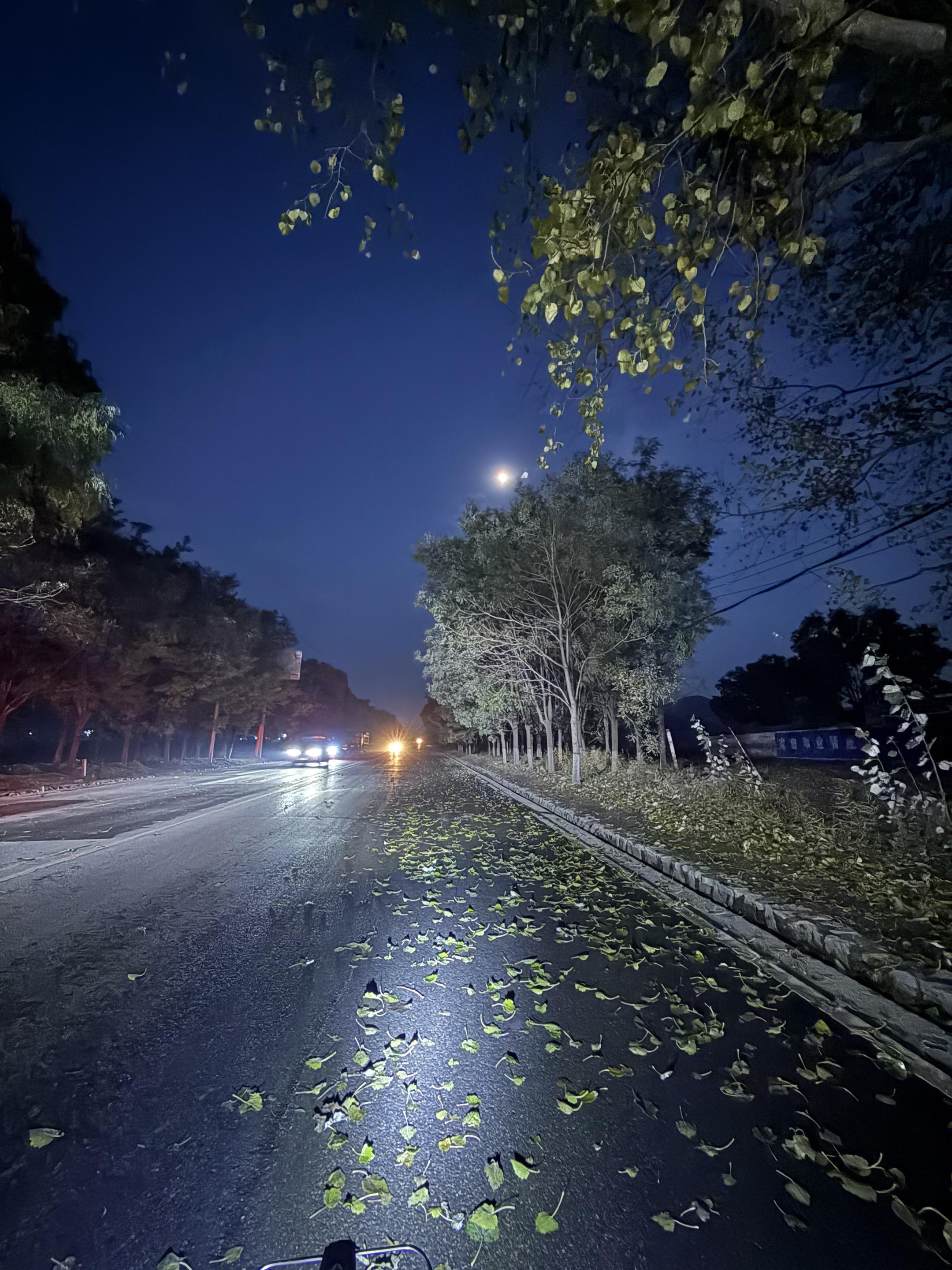 人的一生都在为自己的选择买单 我无法预判当时的自己🍂