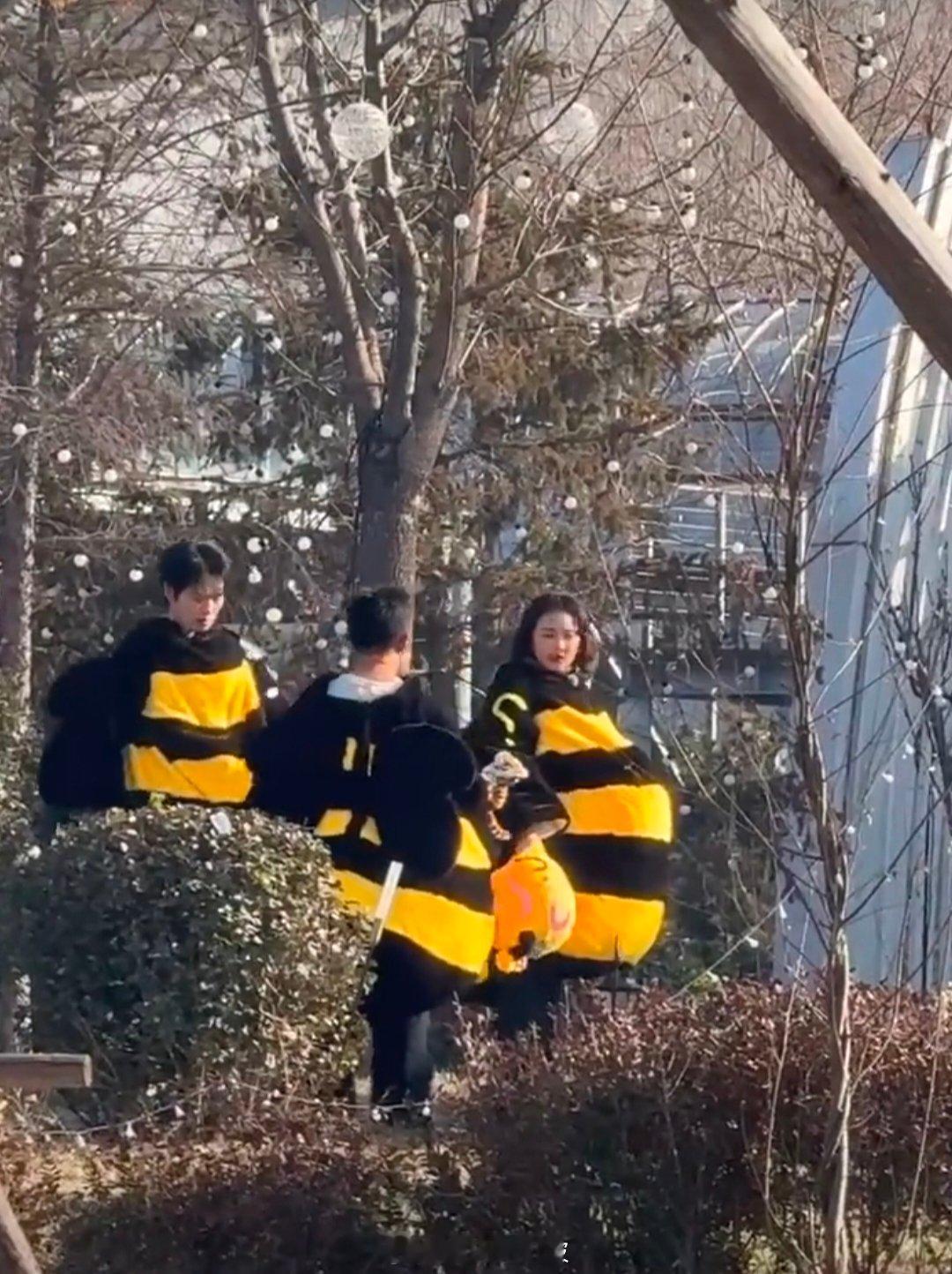 魏大勋帮高叶拉拉链周五晚高疯 魏大勋这波操作真的好圈粉：穿着蜜蜂服还不忘照顾姐姐