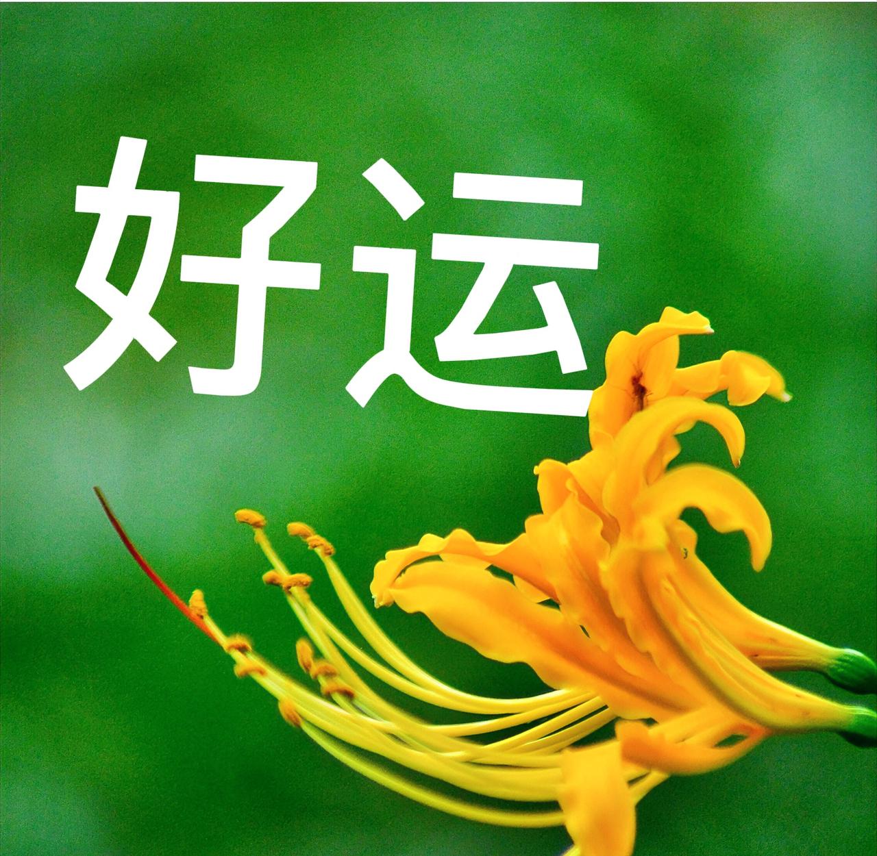 周（9/27～10/3）运前六名来了，恭喜——

狮子座♌️进步飞快，表现出色，