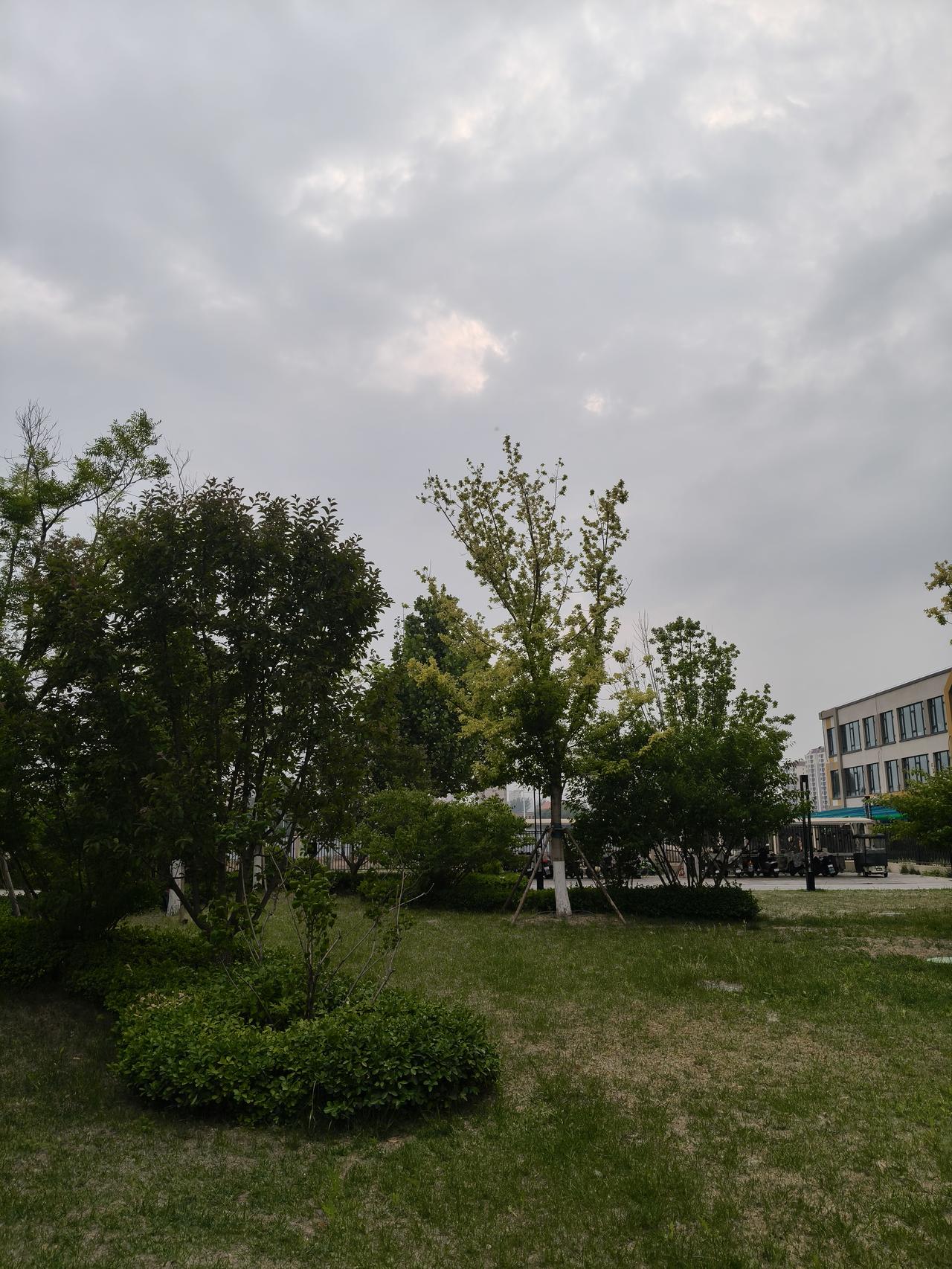 看来天津今晚肯定会下雨🌧️，可能性比较大[耶]。
今天天气特别舒服，微风不燥，