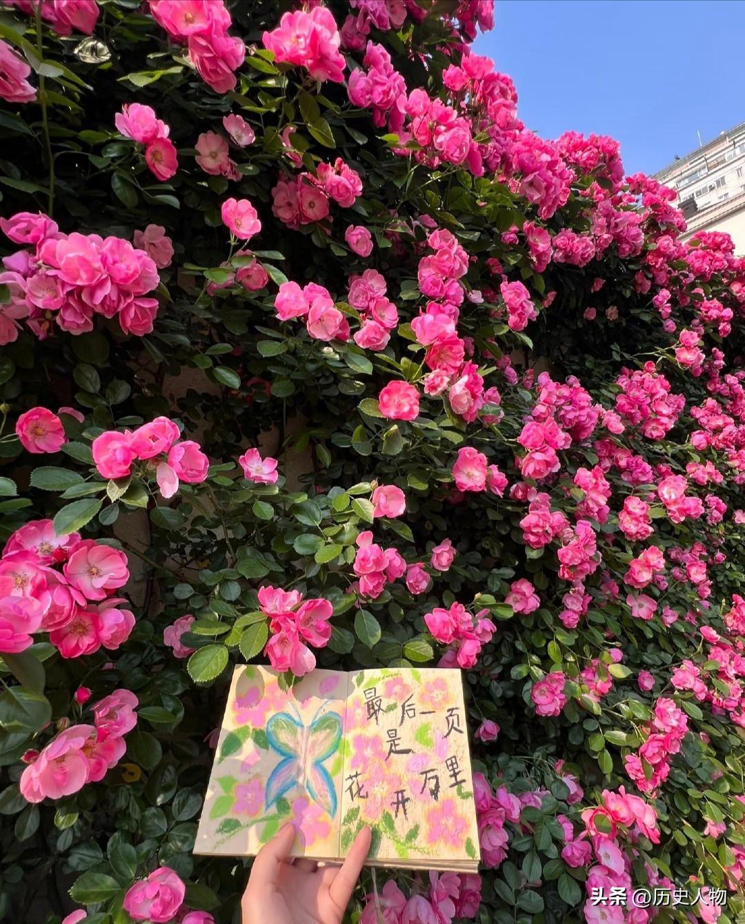 张云逸大将享副总理行政三级；
鸟兰夫担任副总理同为上将民族领袖享行政三级；
刘格