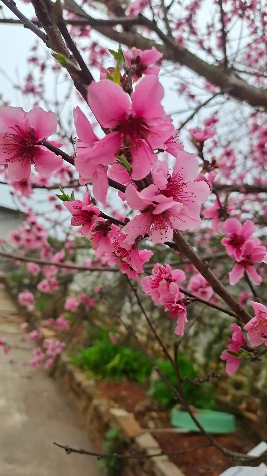 不知不觉我已停更6天，我已经有6天没有来头条了，我习惯了有它，同样也习惯了没有它