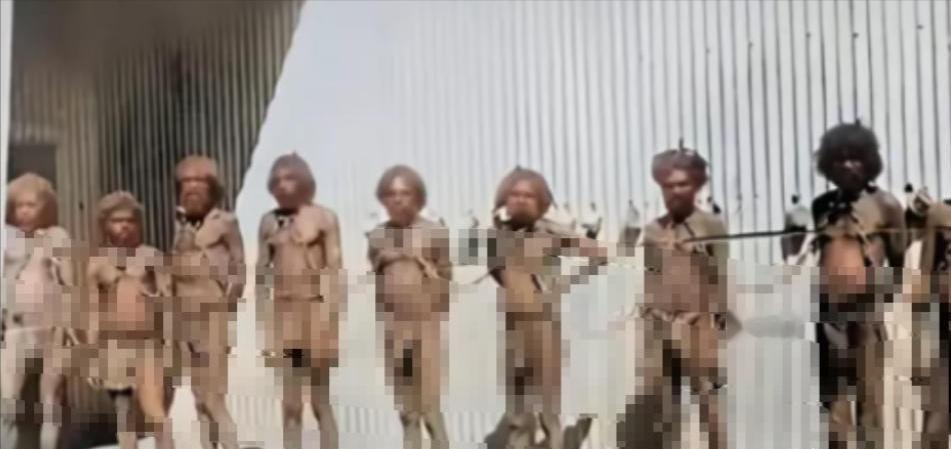 1790年6月的悉尼港，一艘大船的出现让殖民者们欢呼雀跃。可等船靠岸人们才发现，