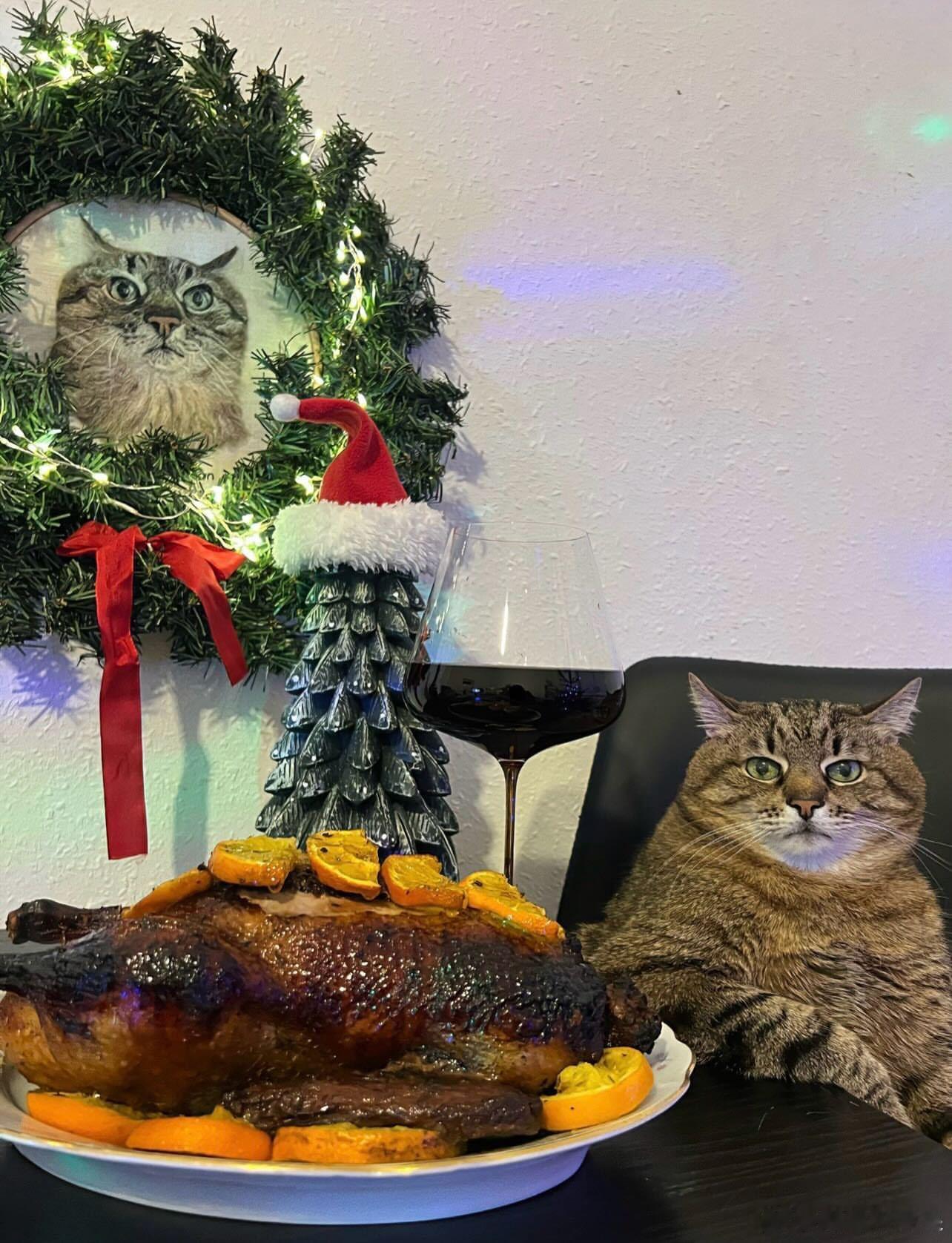 emo猫斯特潘的圣诞节🎄✨🎁..cr：loveyoustepan 