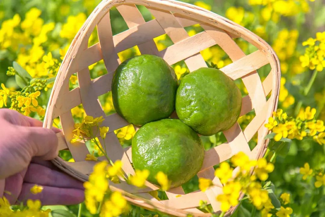 分享我这周有趣的事：春暖花开，春游踏青，赏花寻春，亲朋聚首，阖家团圆！