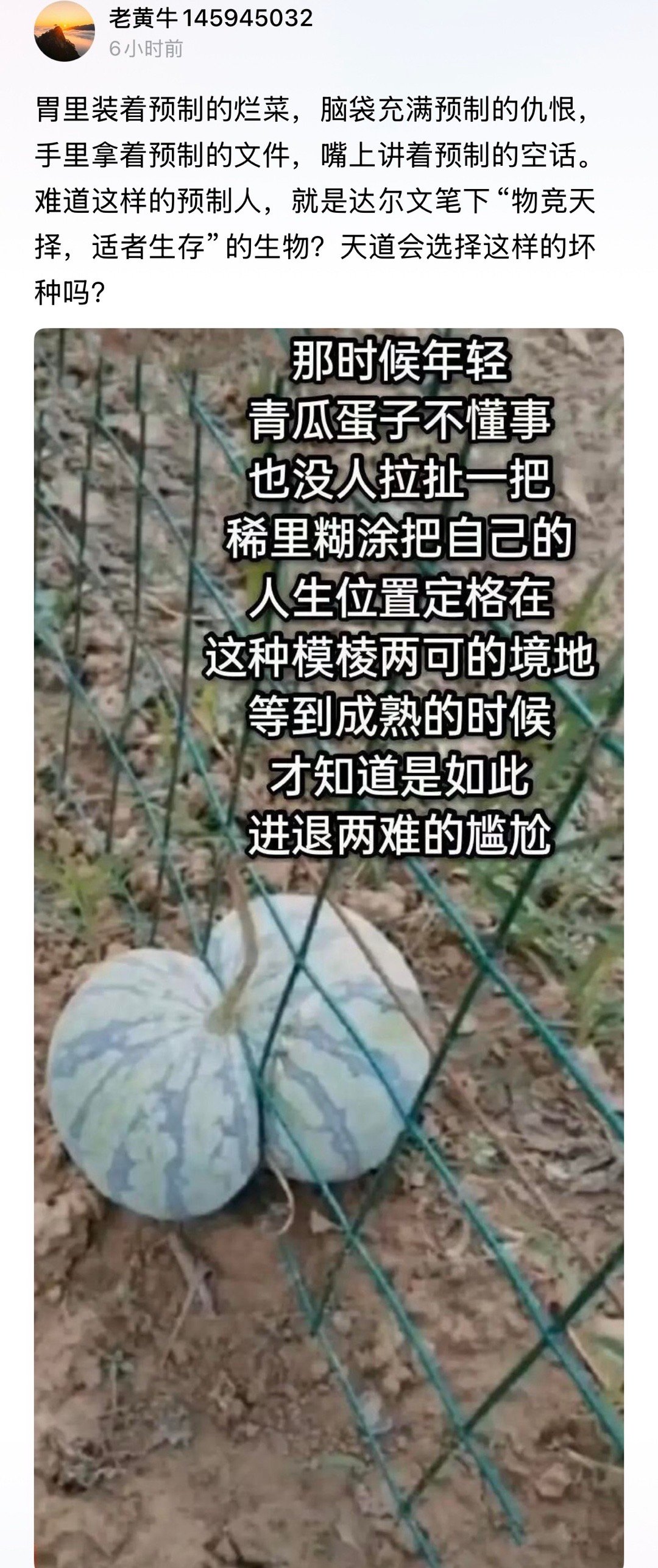 [允悲] ​​​