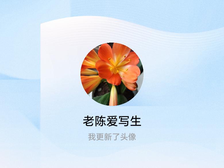快来看看我新换的头像吧