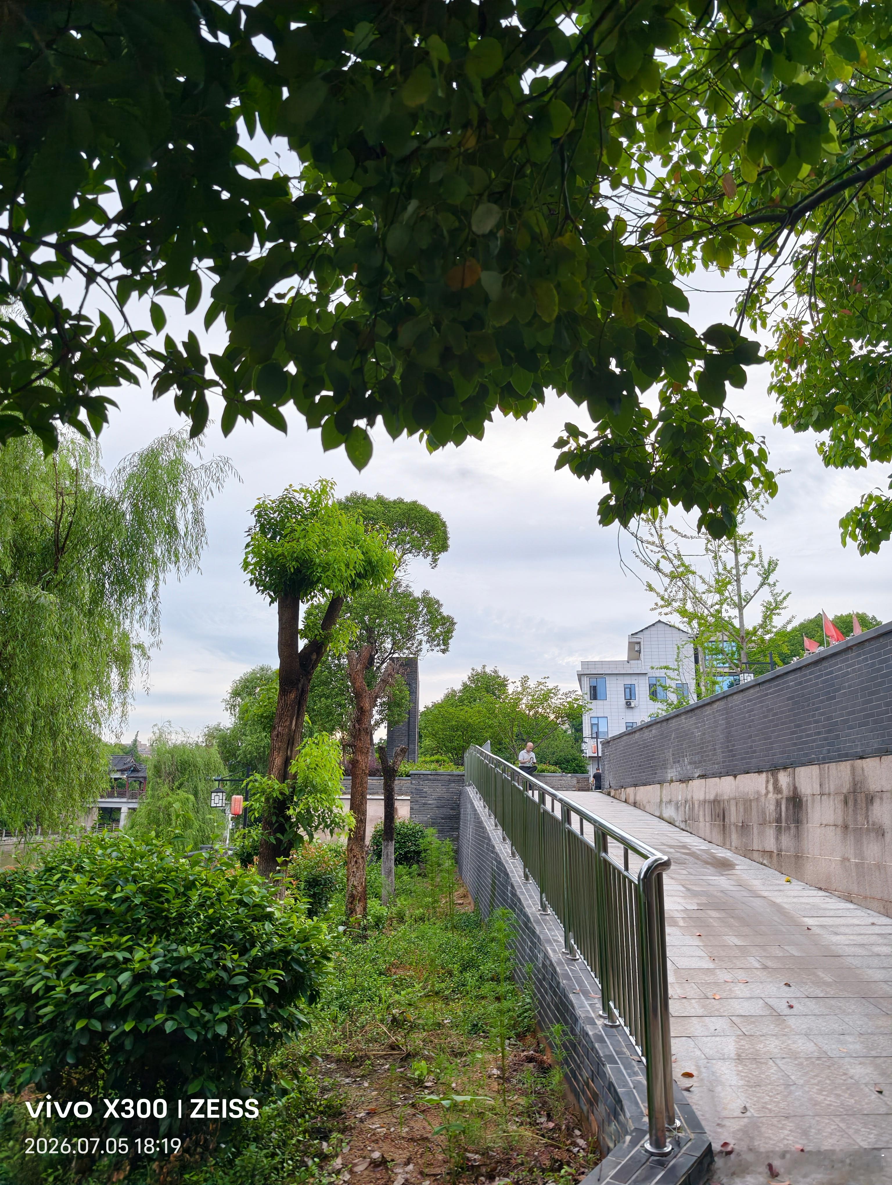 人生坎坎坷坷，跌跌撞撞，那是在所难免。但是，无论跌了多少次，你都要坚强地再次站起
