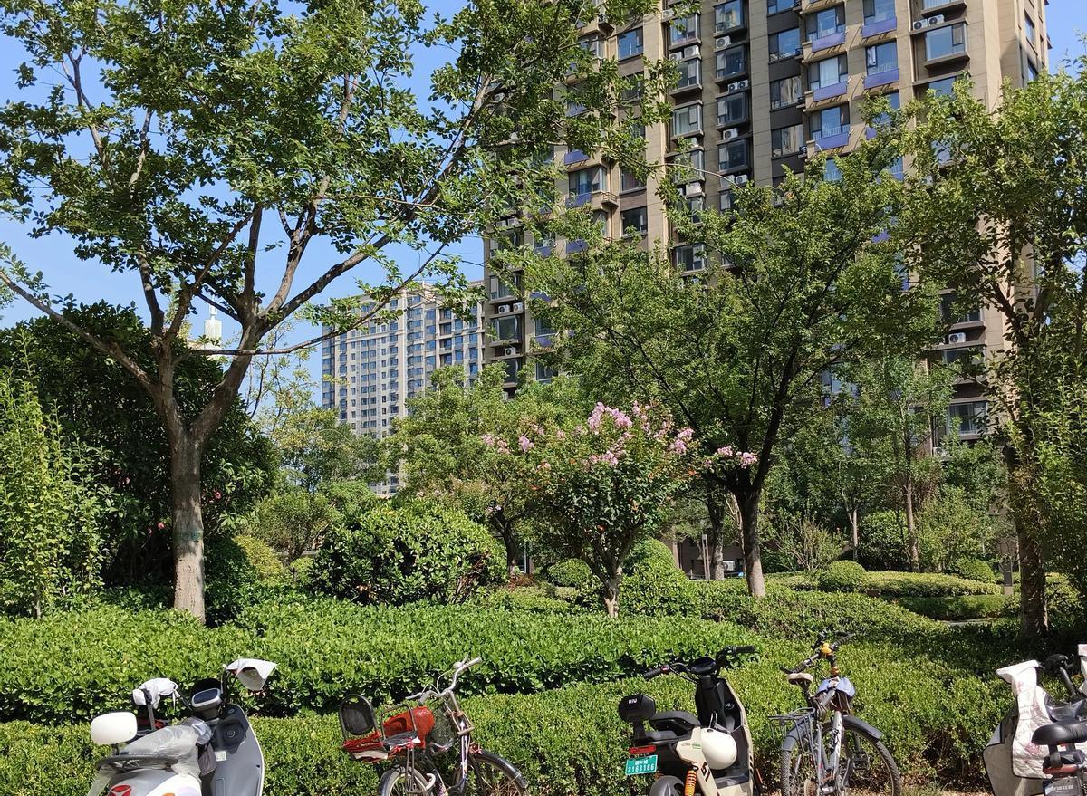手机响个不停，计划永远赶不上变化

你却想提前预订惊喜，可笑吧

旧书店拐角，那