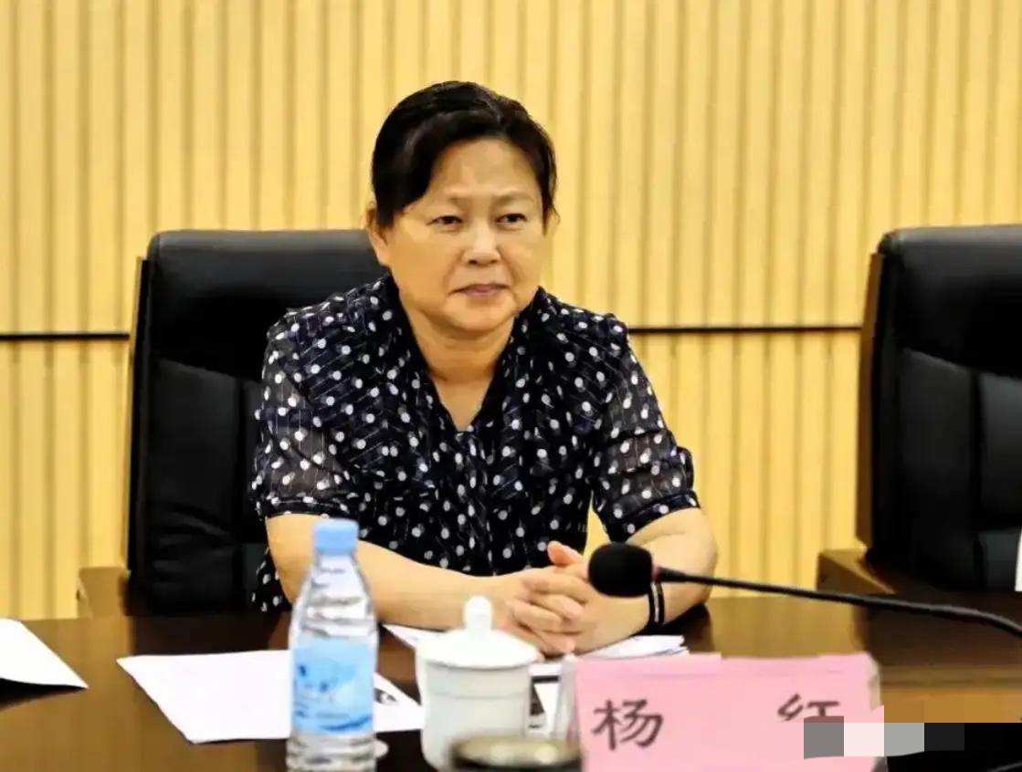 看到杨红被查的消息，内心竟无太多波澜，只剩满心讽刺。

不少人看到通报落马的新闻