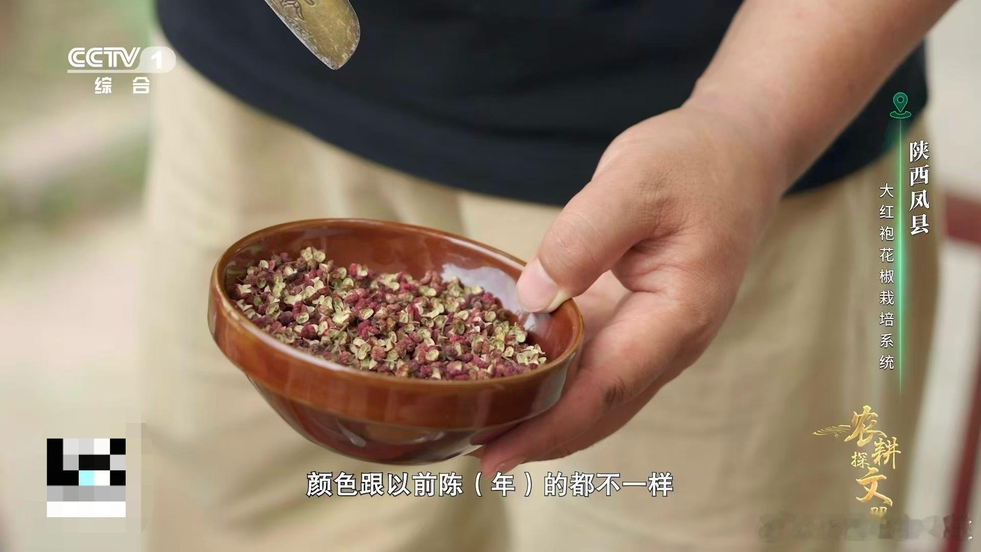 茶叶迎来最狂野的搭档——凤椒！羌族古法让花椒的麻感变得温柔，反而衬托出茶香的清冽