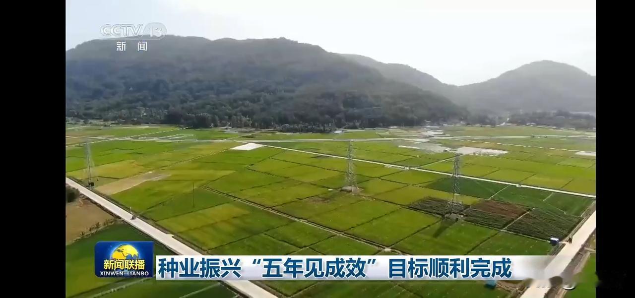 “五年种业振兴，绿意盎然，硕果累累！”🌿🌾