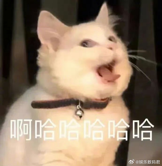 周末的午后，踏入充满书香的咖啡店。点一杯香浓咖啡，选一本心仪书籍，沉浸在文字世界