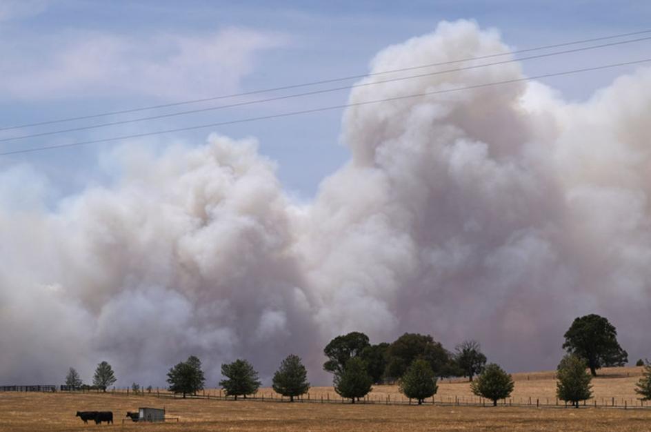 数周难控！澳东南部大火为何重现“黑色夏季”？
 
极端热浪叠加植被燃料累积，让澳