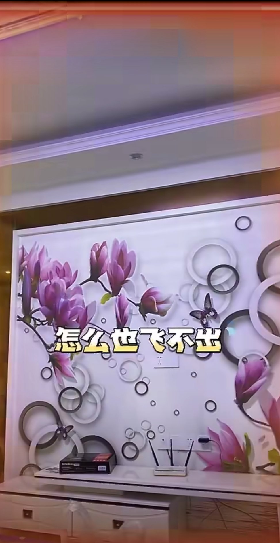 #父母花了几十万装修的房子# 哈哈哈太幽默了，装修可以不盯工人，但是一定要把父母