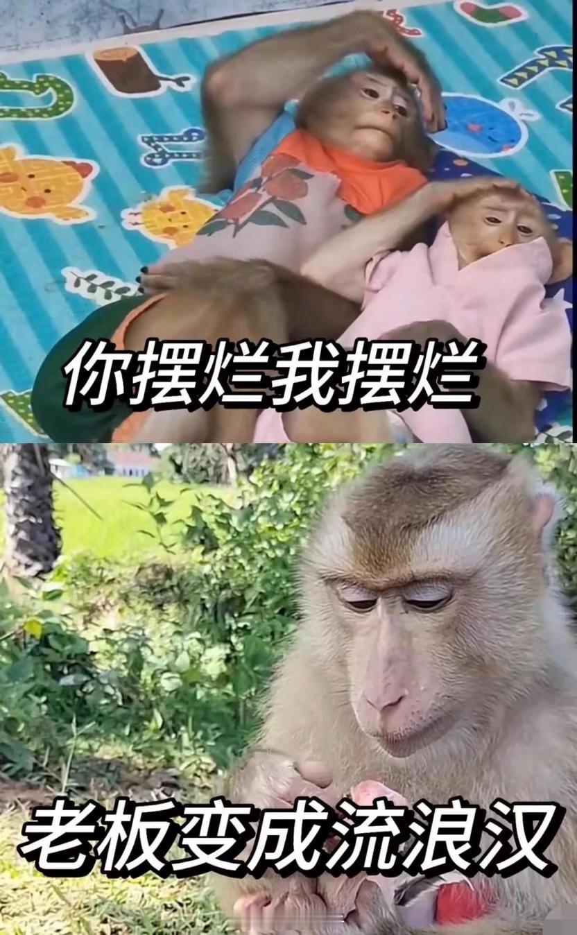 男子欠债想轻生学胖东来还清105万 我看了一下新闻，关键还是他愿意将利润的50%