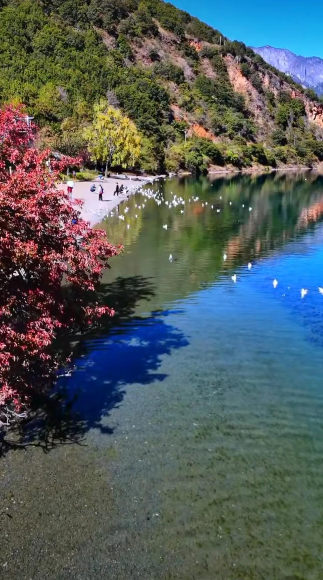 夏日生活打卡季 夏夜散步遇晚风打卡：饭后沿河边走，晚风卷着草木香扑过来，吹散一身