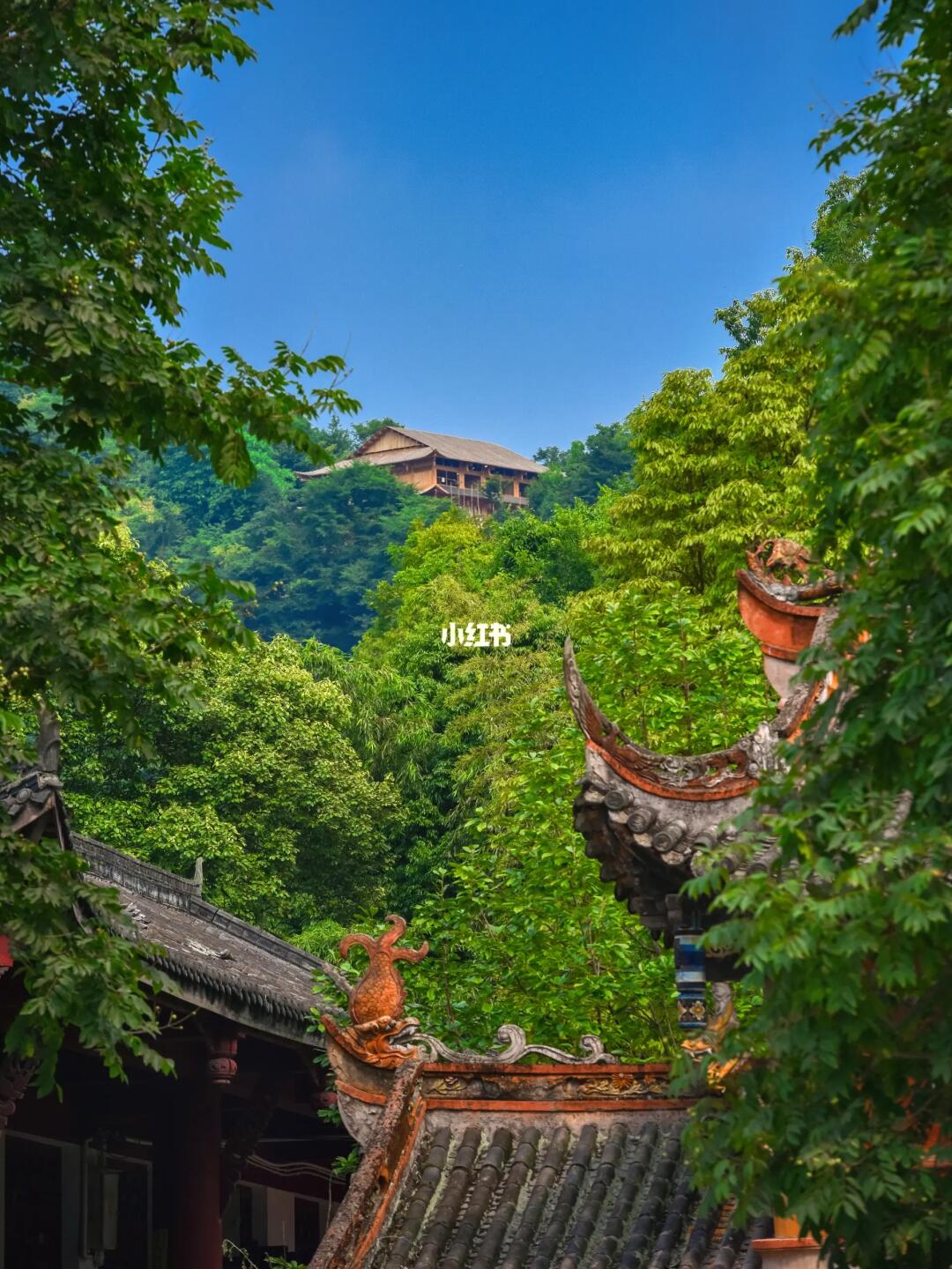 成都1.5h|徒步隐㊙️的道教养生宝地